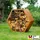 Home Deluxe Holzlege Antares 92 x 34 x 80 cm 6-eckig