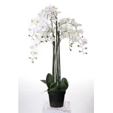 Wackadoo® XXL Orchidee 110 cm real Touch Blüten, Kunstblumen wie echt, Orchideen künstlich, künstliche Orchideen