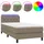 vidaXL Boxspringbett mit Matratze & LED Taupe 80x200 cm Stoff