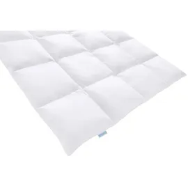 REGINA HOME SLEEP LIVING EST. 1967 Daunendecke, Weiß, Textil, Füllung: Daunen, Federn, 200x200 cm, Oeko-Tex® Standard 100, Schlaftextilien, Bettdecken, Daunendecken