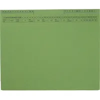 Soldan Hängehefter CLASSIC 1417908 grün