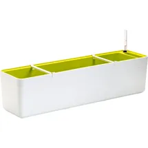 Plastia Berberis 80 80 x 20 x 18 cm Weiß/Grün