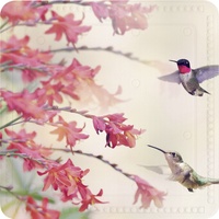 Kleine Wolke Duscheinlage Kolibri multicolor, 55 x 55 cm
