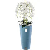 botle Künstliche Orchidee Kaskaden Blumenstrauß Weiß im Topf Blau H 110 cm Heimbüro Dekoration, Kunstpflanze Orchidee, Kunstblume, Künstliche Orchidee im Topf