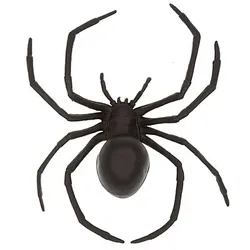 Spinne, schwarz