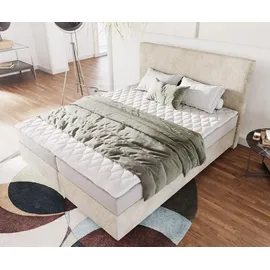 DeLife Dream-Well 160 x 200 cm H2 beige