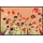 Wash+Dry Fußmatte Wildflowers 40x60 cm, - BL 40x60 cm