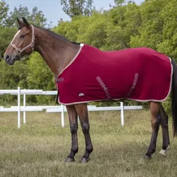 Equithème Polarfleece vielseitige Decke Polyfun, 6'3