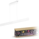 Philips Hue White & Color Ambiance Ensis weiß