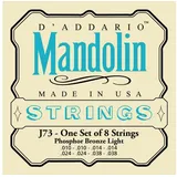 d’addario EJ73 - Mandoline Phosphor Bronze 10-38 - Saiten Zupfinstrument