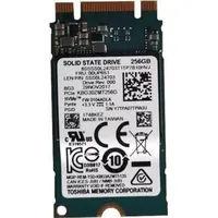 Lenovo SSD 256GB M.2 2242 PCIe3x2 (00UP651)