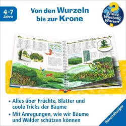 Alles über Bäume