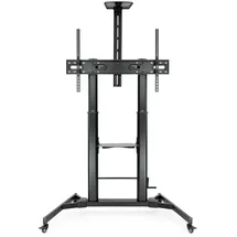 TooQ Zeus FS20400M-B Verstellbarer TV-Bodenständer 60-100 VESA 1000x600 Max 100Kg