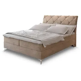 masseno Macon 160 x 200 cm H2 Beige