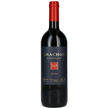 arachon t.fx.t Arachon Burgenland 2020 0,75 l