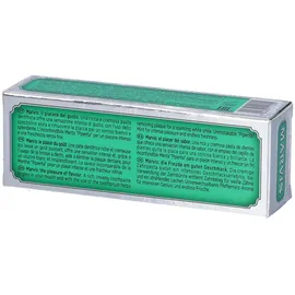 MARVIS Zahnpasta Classic Strong Mint 25 ml