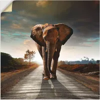 ARTland Artland, Bilder, Ein Elefant läuft auf der Strasse