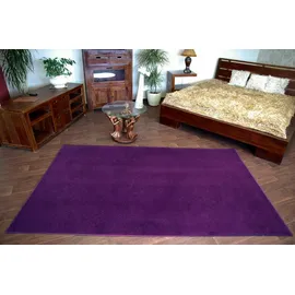 RugsX Teppichboden Eton Lila 100x200 cm