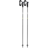 LEKI Neolite Carbon Skistöcke (Größe 120CM, schwarz)