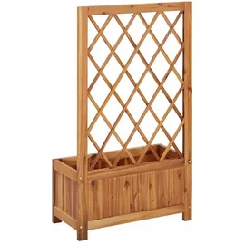 vidaXL Garten-Hochbeet mit Spalier 60 x 30 cm Braun