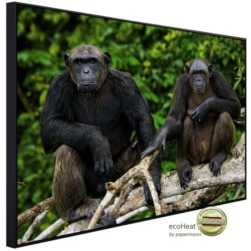papermoon Infrarotheizung »EcoHeat - Schimpansen aus dem Kongo«, Matt-Effekt - bunt