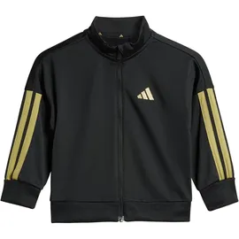 adidas Essentials Climacool Trainingsanzug Black / Gold Met. 74