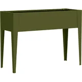 M 30 x 100 x 80 cm Olivgrün