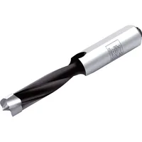 Leitz Premium Dübelbohrer DM 5x70 mm / Schaft: 10x30
