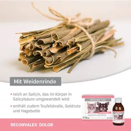 Alfavet ReConvales Dolor 3 x 90 ml