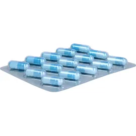 Dr. Loges NeuroLoges concept Kapseln 60 St.
