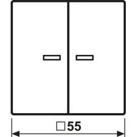 Jung Taster FM A 1701 CH