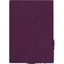 Castell Spannbettlaken Jersey 90 x 190- 100 x 200 cm dunkel violett