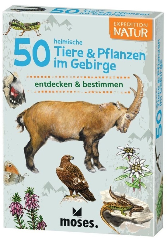 50 Heimische Tiere & Pflanzen Im Gebirge