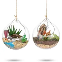 Glasseam Hängende Glaskugel Vase Große Öffnung Sukkulenten Terrarium