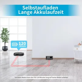 AIRROBO P20 black