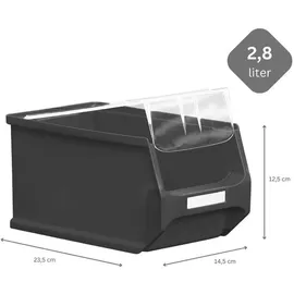 Proregal Wandleiste mit 4x Rote Sichtlagerbox 3.0 mit Abdeckung | HxBxT 12,6x60,5x23,6cm | Wandhalterung, Kleinteileaufbewahrunghalterung