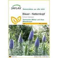 SAFLAX - Blauer - Natternkopf - 100 Samen -