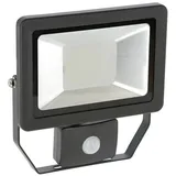 Kerbl LED-Leuchte Kerbl LED-Außenstrahler mit Bewegungsmelder 100 W, 345689