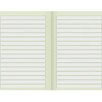 Brunnen Schulheft A4, Lineatur 2, grau/grün, 16 Blatt,
