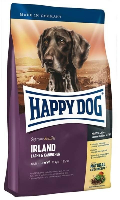 happy dog irland