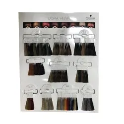 Schwarzkopf Salon Tools - Farbkarten Igora Royal Farbboard 1 Stück