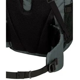 Jack Wolfskin Wandermood Rolltop 30 Grün