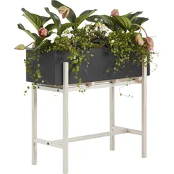 Botanic Blumenständer, schwarz