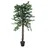 Europalms Ficus-Benjamini Multi-Stamm, Kunstpflanze, 150cm