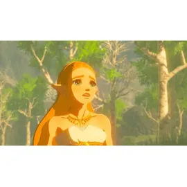 Nintendo amiibo The Legend of Zelda Collection Zelda - Breath of the Wild