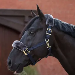 Bucas Show-Line Halfter, Cob