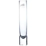 SANDRA RICH Glasvase, Blumenvase SOLIFLEUR H. 22 cm D. 4cm rund transparent