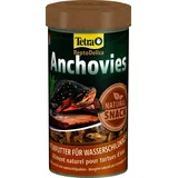 Tetra Anchovies