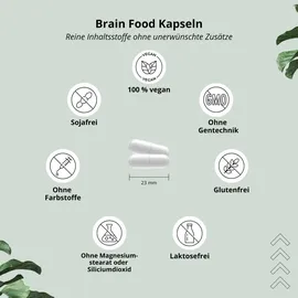 Nutri + Konzentrations Tabletten - L-Carnitin