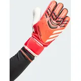 Adidas Predator Match Torwarthandschuhe - Pure Ruby / Lucid Red / Black - 10
